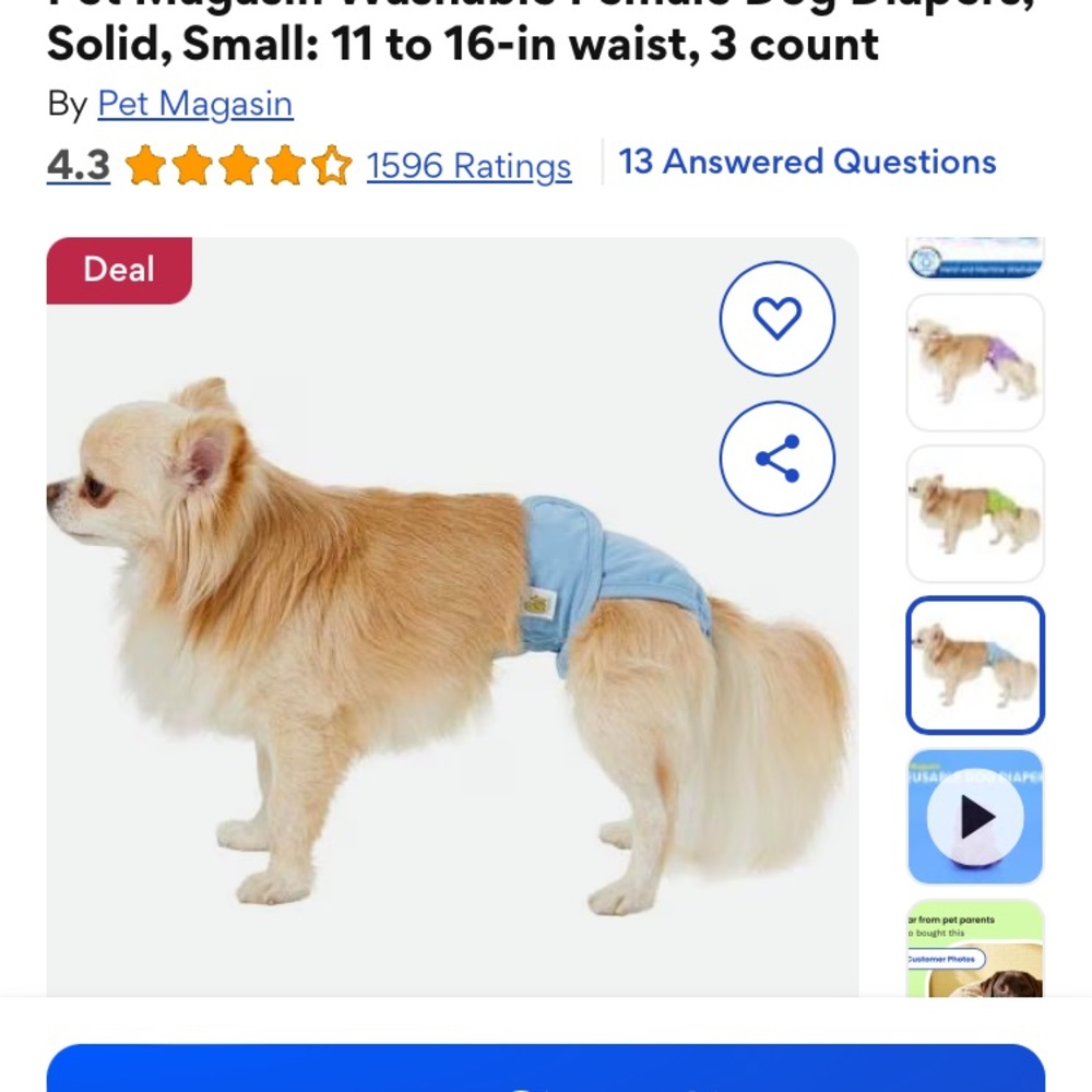 Reusable pet Diapers - Purple, Green, Blue